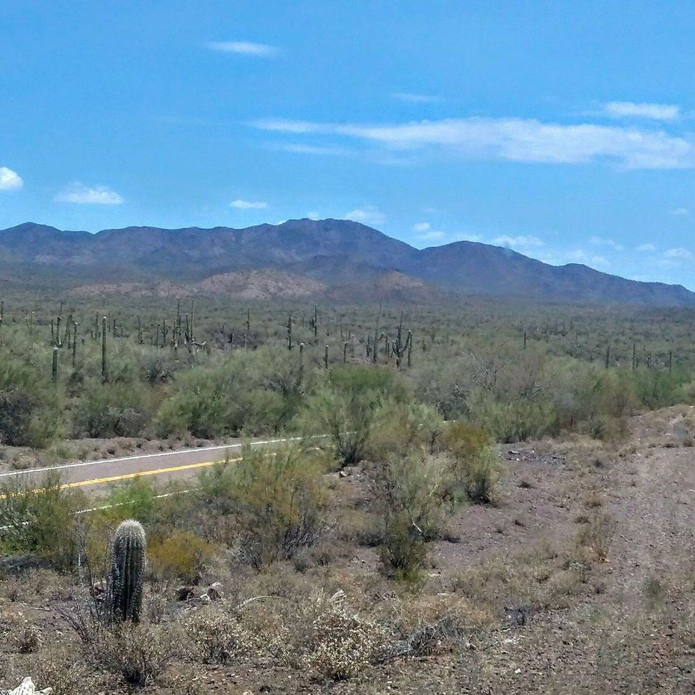 Meet your Posher, Donae